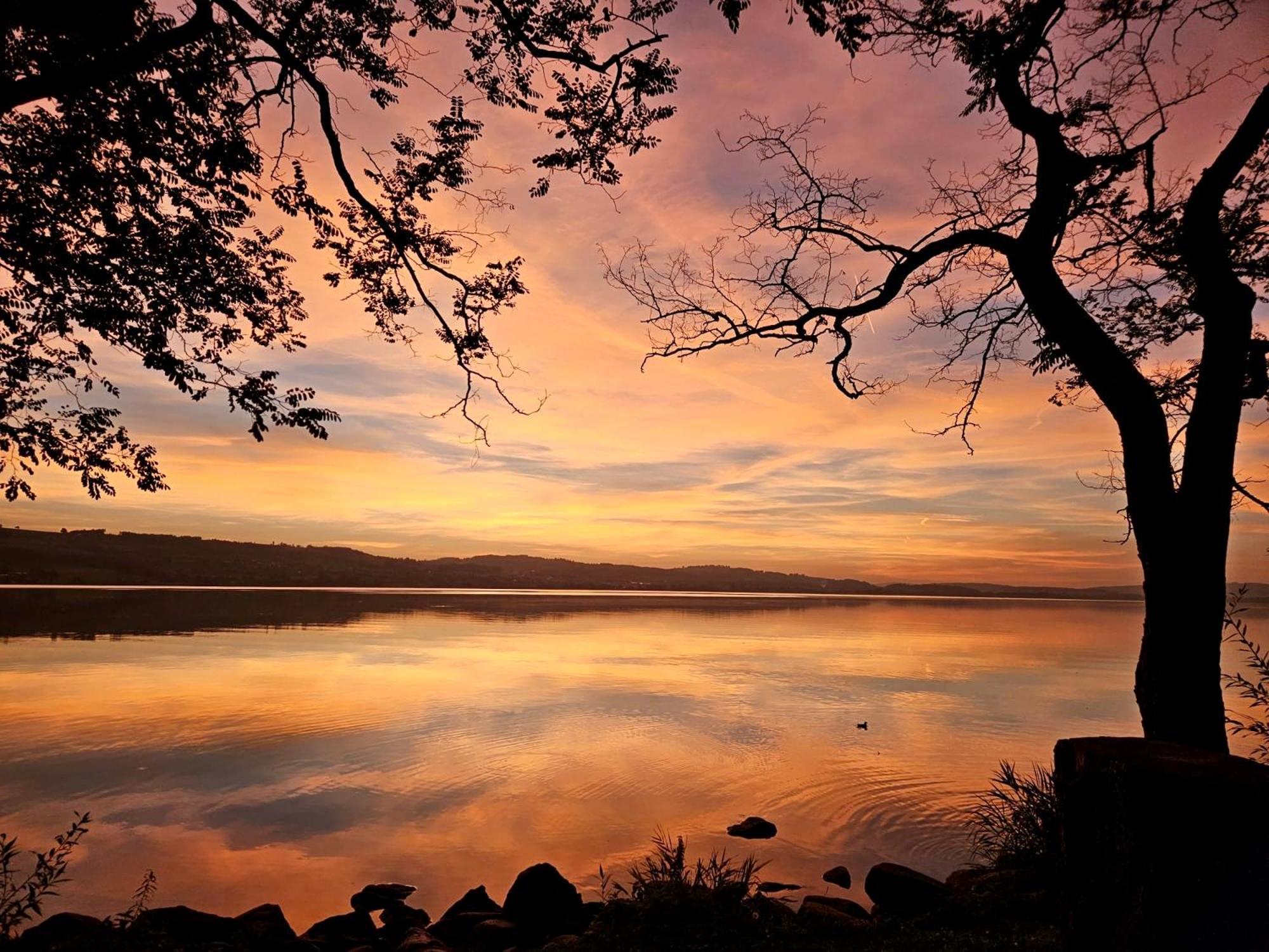 Guesthouse Juerg Sempach Dış mekan fotoğraf